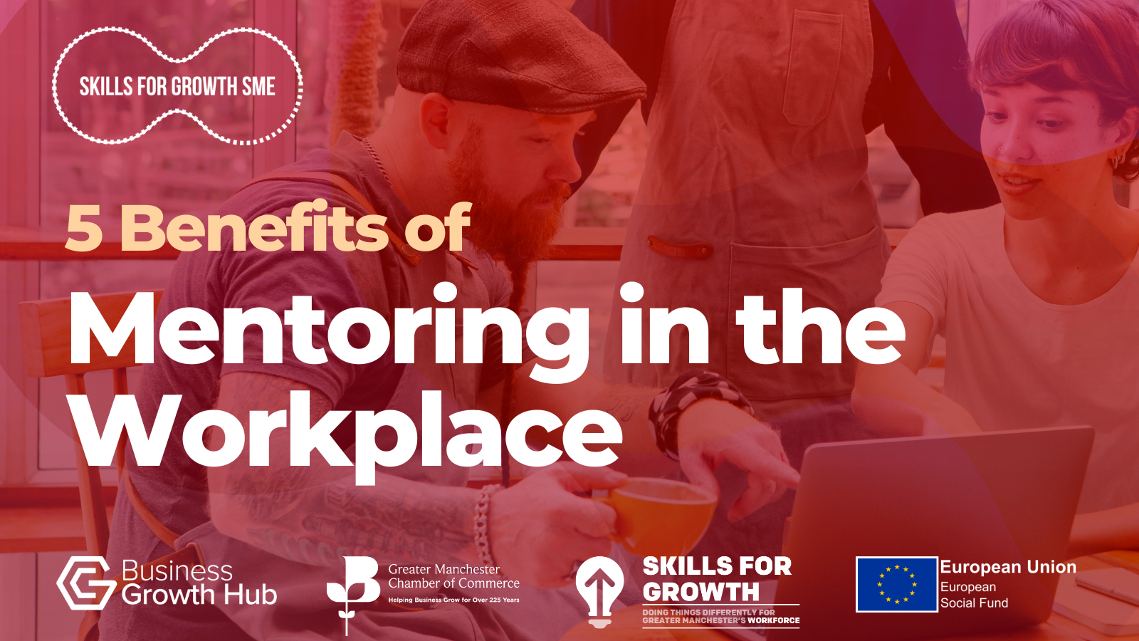 5 Benefits Of Mentoring In The Workplace Skills For Growth SME Support